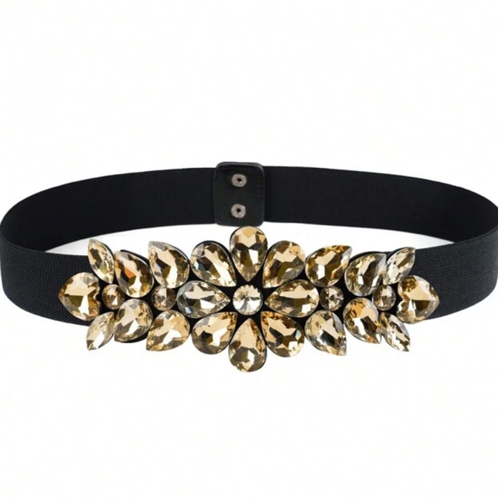 Elegant Black and Gold Embellished Belt
